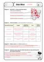 Vorschau - Arbeitsblätter - Das Blut und seine Bestandteile - Seite 2