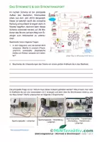 Vorschau - Unterrichtsreihen - OnlineVideo - Elektromagnetismus - Transformator 3 (Arbeitsblatt) - Deckblatt