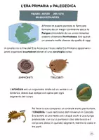 anteprima - Serie di lezioni - L'ERA PRIMARIA O PALEOZOICA con Capitan Curiosus - Pagina 1