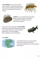 anteprima - Serie di lezioni - L'ERA PRIMARIA O PALEOZOICA con Capitan Curiosus - Pagina 2