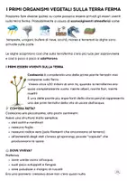 anteprima - Serie di lezioni - L'ERA PRIMARIA O PALEOZOICA con Capitan Curiosus - Pagina 3