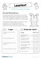 Vorschau - Arbeitsblätter - 10 Lesetexte zum Advent (mit Aufgaben) - Seite 3