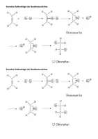 Vorschau - Arbeitsblätter - Reaktionsmechanismus der elektrophilen Addition von Brom an Ethen - Seite 2