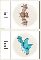 Vorschau - Poster - Picture / Word Cards - Animals (Playway 3) - Seite 2