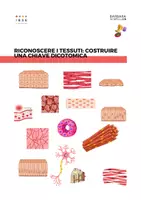 anteprima - Esperimenti - RICONOSCERE I TESSUTI: COSTRUIRE UNA CHIAVE DICOTOMICA - Pagina di copertina