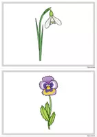 Vorschau - Spiele - 38 Bildkarten / Wortkarten Frühling mit/ohne Silbenschrift - Seite 2