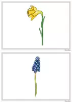 Vorschau - Spiele - 38 Bildkarten / Wortkarten Frühling mit/ohne Silbenschrift - Seite 3
