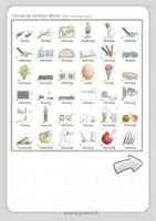 Vorschau - selbst erstellte Cliparts/Grafiken - Clipart-Paket Rechtschreibung: Lautgetreue Wörter mit 1, 2 oder 3 Silben - Seite 2