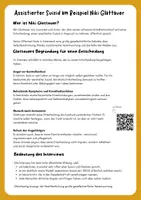 Vorschau - Arbeitsblätter - Assistierter Suizid am Beispiel Niki Glattauer - Seite 1