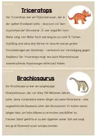 Vorschau - Aufgabenkarten - Abschreibkartei_Dinos - Seite 3