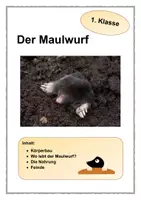 Vorschau - Arbeitsblätter - Der Maulwurf - 1. Klasse - Deckblatt