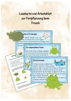 Vorschau - Arbeitsblätter - Lesekartei, Arbeitsblatt Fortpflanzung Frosch, Lebenszyklus - Deckblatt