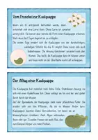 Vorschau - Arbeitsblätter - Lesekartei, Arbeitsblatt Fortpflanzung Frosch, Lebenszyklus - Seite 3