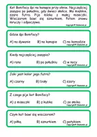 zapowiedź - Czytanie ze zrozumieniem-poziom podstawowy - strona 1