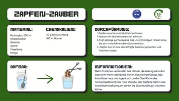 Vorschau - Experimente - Weihnachtliche Experimente – Chemie zum Staunen - Seite 3