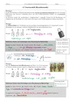 Vorschau - Stundenentwürfe - Oberstufe Mathe Urnenmodell Kombinatorik - Seite 1