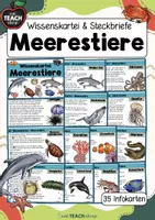 Vorschau - Arbeitsblätter - Meerestiere - Wissenskartei und Steckbriefe - Deckblatt