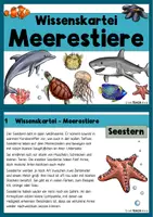Vorschau - Arbeitsblätter - Meerestiere - Wissenskartei und Steckbriefe - Seite 1