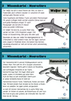 Vorschau - Arbeitsblätter - Meerestiere - Wissenskartei und Steckbriefe - Seite 2
