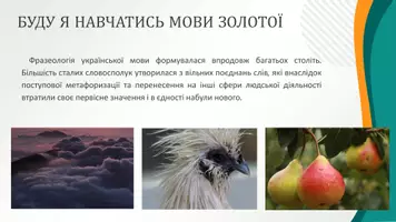 Попередній перегляд - Джерела української фразеології. Національна специфіка української фразеології - Сторінка 3