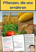 Vorschau - Arbeitsblätter - Pflanzen, die uns ernähren: Getreide, Obst und Gemüse - Deckblatt