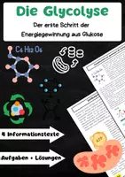 Vorschau - Arbeitsblätter - Die Glycolyse: ATP, Pyruvat & Stoffwechsel - Deckblatt