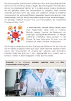 Vorschau - Arbeitsblätter - Evolution und Viren: Warum die Grippe jedes Jahr mutiert - Seite 3