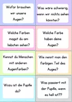 Vorschau - Unterrichtsreihen - XXL Bundle - Das Auge Materialpaket - Seite 2
