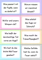 Vorschau - Unterrichtsreihen - XXL Bundle - Das Auge Materialpaket - Seite 3