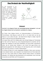 Vorschau - Arbeitsblätter - Nachhaltige Entwicklung (nachhaltiges Dreieck) & Fallbeispiel - Seite 2