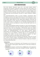 Vorschau - Arbeitsblätter - Endosymbiontentheorie - Deckblatt