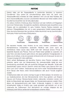 Vorschau - Arbeitsblätter - Proteine - Seite 1