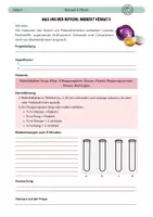 Vorschau - Arbeitsblätter - Biomembran: Protein-Nachweis - Deckblatt