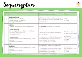 Vorschau - Lehrpläne/Lehrermaterial - Wald: Sequenzplan (LehrplanPLUS Bayern) – Kl. 3/4 - Seite 3