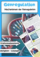 Vorschau - Arbeitsblätter - Genregulation: Zellen, Gene, Transkription & Epigenetik - Deckblatt