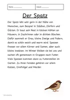 Vorschau - Text - Vögel – Lesetexte für die Grundschule (Sachunterricht/Deutsch) - Seite 1