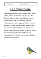 Vorschau - Text - Vögel – Lesetexte für die Grundschule (Sachunterricht/Deutsch) - Seite 2