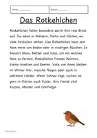 Vorschau - Text - Vögel – Lesetexte für die Grundschule (Sachunterricht/Deutsch) - Seite 3