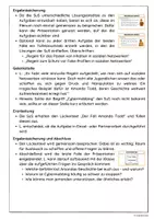 Vorschau - Stundenentwürfe - Das Internet vergisst nie (Stundenkonzept) - Seite 2