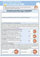Vorschau - Arbeitsblätter - Aufbau und Funktion des Auges (Bestandteile Auge / Weg des Lichts / Entstehung Bild / Fehlsichtigkeit / kurzsichtig / weitsichtig / Stäbchen / Zapfen / Blinder Fleck / Kreuzworträtsel / Biologie / Sinnesorgane) - Seite 2