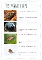Vorschau - Arbeitsblätter - Dossier Tiere im Winter (mit Lösungen) - Seite 3