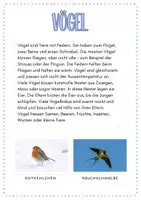Vorschau - Präsentationen/Tafelbilder - Infotexte Tierklassen - Seite 3