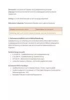 Vorschau - Stundenentwürfe - Unterrichtssequenz: Qualitätssicherung und -entwicklung in sozialpädagogischen Einrichtungen, Lernfeld 8: Im Team zusammenarbeiten, Qualität sichern sowie im Berufsfeld kooperieren - Seite 1