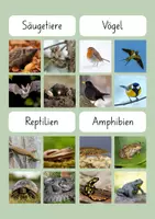 Vorschau - Spiele - Sortierspiel Tierklassen - 32 Tiere zuordnen - Seite 3