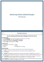 Vorschau - Stundenentwürfe - Schweineauge sezieren/präparieren | Sezieranleitung | Biologie | Klasse 7-10 - Seite 1