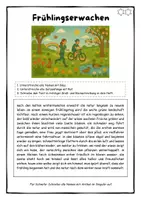 Vorschau - Stundenentwürfe - Rechtschreiben im Frühling: Wimmelbild Frühlingserwachen - DEUTSCH FÜR ZWISCHENDURCH - Großschreibung, Satzzeichen, Nomen - Seite 3