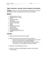 anteprima - Esperimenti - Esperienza di lab sui miscugli: Omogeni ed Eterogenei - Pagina di copertina
