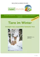 Vorschau - Präsentationen/Tafelbilder - INTERACTIVE Tiere im Winter 5./6.Schulstufe - Seite 3
