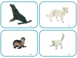 Aperçu - Apprentissages en autonomie - Activités sur l'hiver et le monde polaire - Page 2
