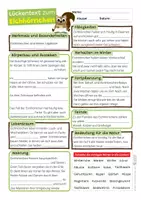 Vorschau - Arbeitsblätter - Eichhörnchen Sparpaket / Materialpaket - mit Lesetext, Steckbrief, Lückentext, Suchsel, Satzpaare, Quiz und Ausmalbildern - Seite 3